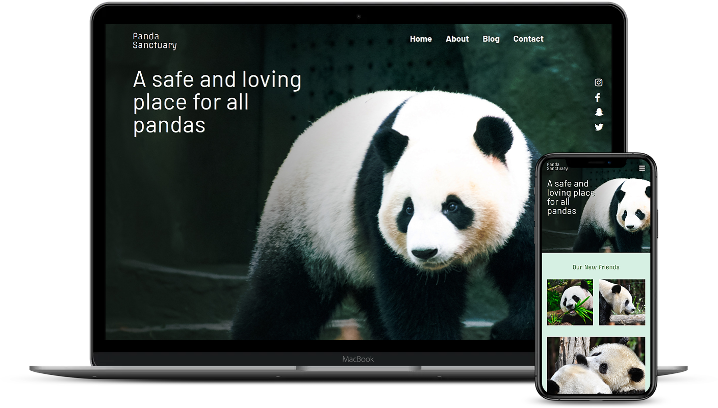 Screenshot of Panda Sanctuary website